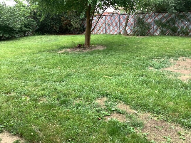 599 S Sunset Dr in Piqua, OH - Foto de edificio - Building Photo