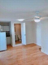 894 80th St in Miami Beach, FL - Foto de edificio - Building Photo