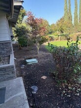 141 W Twain Ave in Fresno, CA - Building Photo - Building Photo