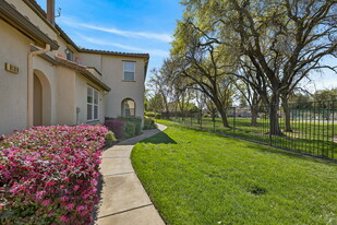 8188 Crystal Walk Cir in Elk Grove, CA - Building Photo