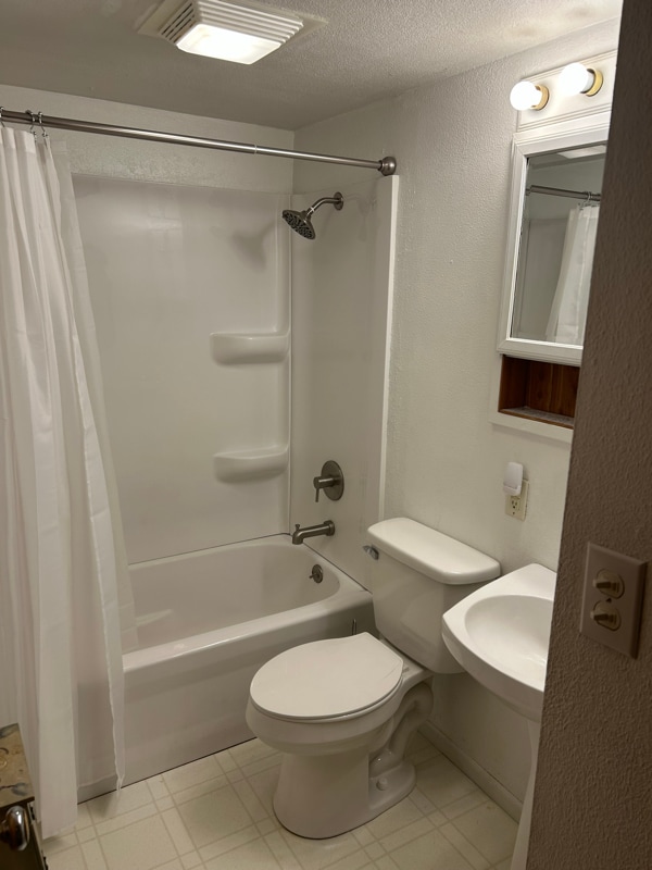 403 Lake St in Bellevue, MI - Building Photo - Building Photo