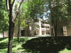 Bellridge Apartments in Phoenix, AZ - Building Photo - Building Photo