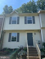 313 Stafford Mews Ln in Stafford, VA - Building Photo