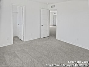 832 Heartseed Ave in New Braunfels, TX - Building Photo - Building Photo