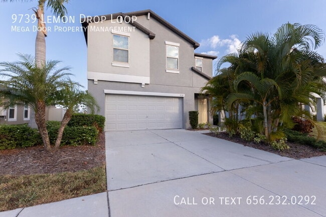 9739 Lemon Drop Lp in Sun City Center, FL - Building Photo - Building Photo