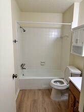 3203 Palo Duro Ct in Georgetown, TX - Building Photo - Building Photo