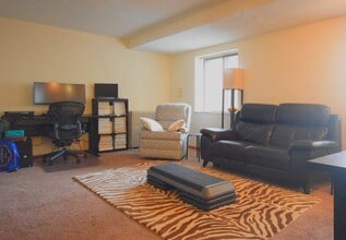 499 Snelling Ave S in St. Paul, MN - Building Photo - Building Photo