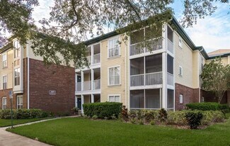 4107 Chatham Oak Ct, Unit 313 in Tampa, FL - Building Photo