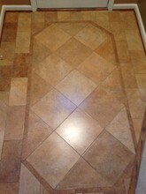 3676 Cottage Cir in Lexington, KY - Building Photo - Building Photo