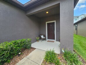 8402 Red Spruce Ave in Riverview, FL - Building Photo - Building Photo