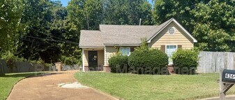 4369 Pecan Creek Cir S in Memphis, TN - Building Photo