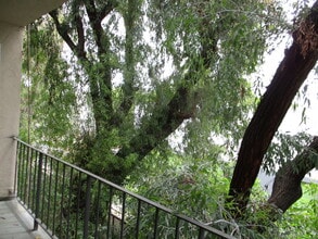 15344 Weddington St, Unit 216 in Sherman Oaks, CA - Building Photo - Building Photo