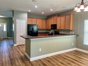 10131 Celtic Ash Dr in Ruskin, FL - Building Photo - Building Photo