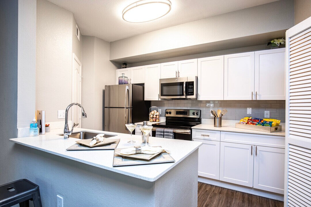 Tuscany Bay Apartments in Tampa, FL - Building Photo