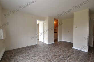 226 N Broadway St, Unit 1 in Joliet, IL - Foto de edificio - Building Photo