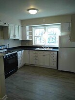 217 W Cass St in Greenville, MI - Building Photo