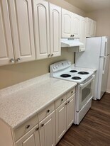 Olive Court Apartments in Fair Oaks, CA - Building Photo