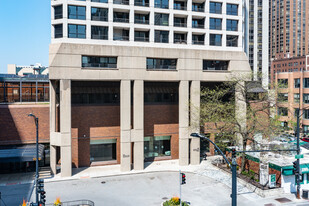 Newberry Plaza in Chicago, IL - Foto de edificio - Building Photo