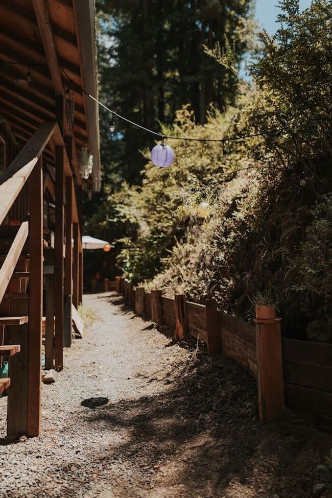 8255 Tyrone Rd in Occidental, CA - Building Photo - Building Photo