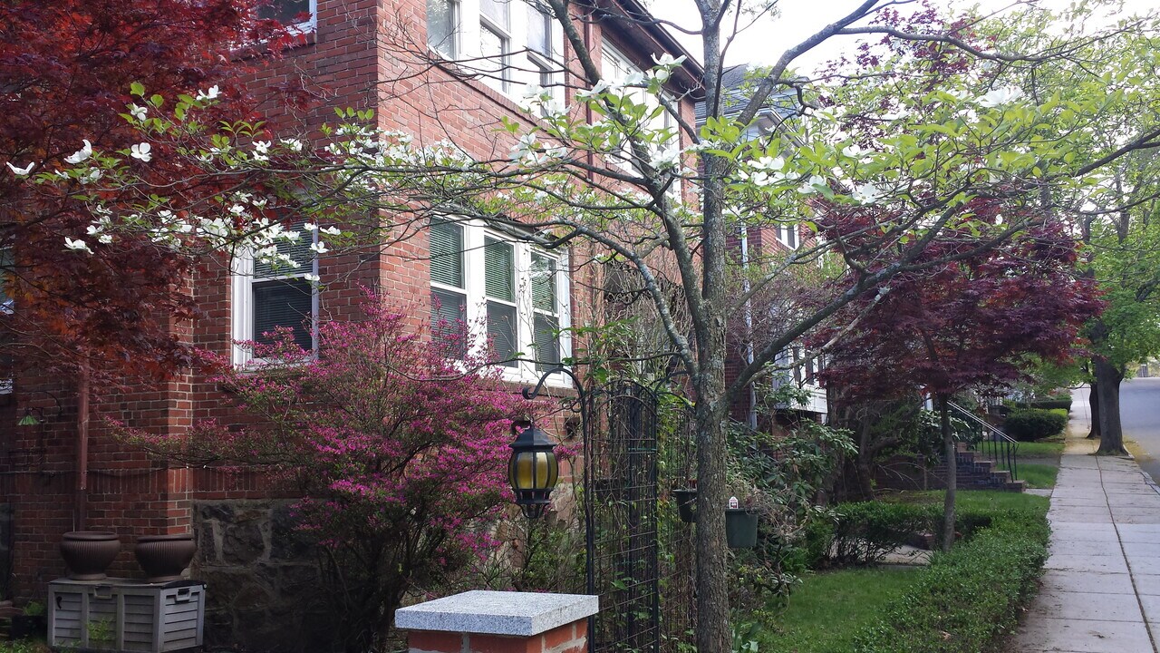 31 Greycliff Rd, Unit # 31 in Boston, MA - Foto de edificio