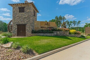 14668 Blackbrush Mnr in Magnolia, TX - Building Photo