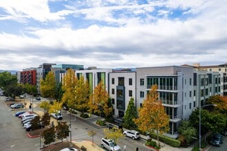 Levare in San Jose, CA - Foto de edificio - Building Photo