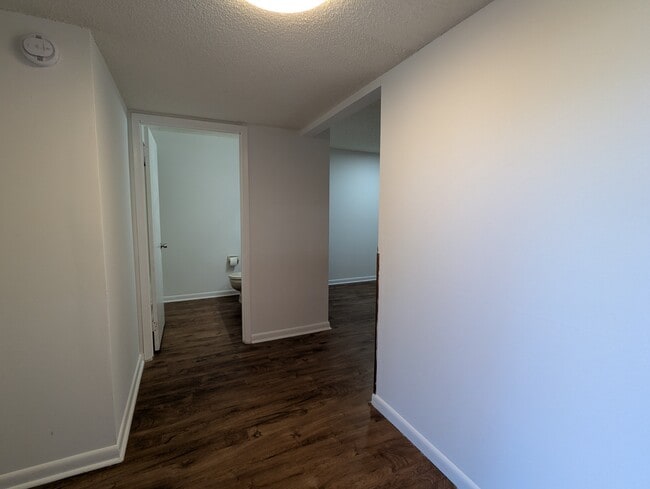 5591 Greatpine Ln S in Jacksonville, FL - Building Photo - Building Photo