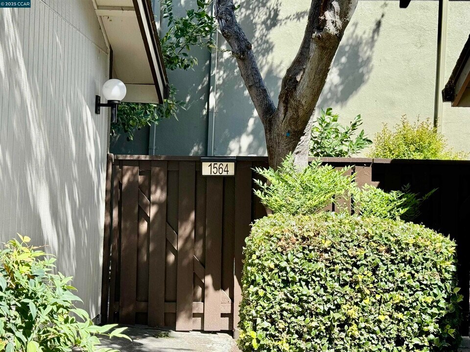 1564 Candelero Dr in Walnut Creek, CA - Building Photo