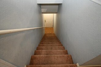 36113 Deer Creek Dr in Zephyrhills, FL - Building Photo - Building Photo
