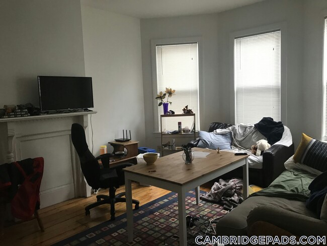 254 Windsor St in Cambridge, MA - Foto de edificio - Building Photo