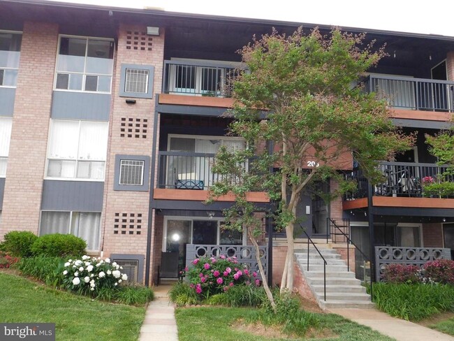 206 Park Terrace Ct SE in Vienna, VA - Building Photo - Building Photo