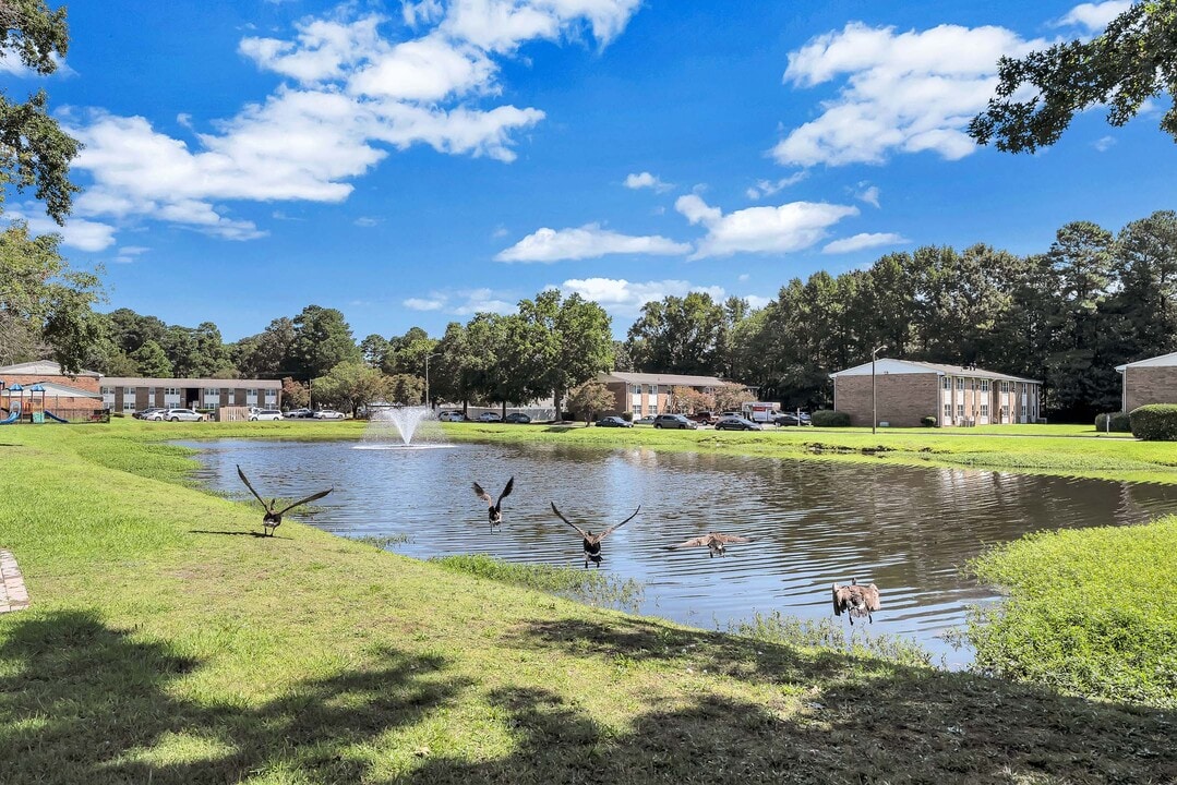 Lake Village in Chesapeake, VA - Foto de edificio