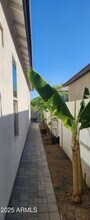 6621 E Villa Rita Dr in Phoenix, AZ - Building Photo - Building Photo