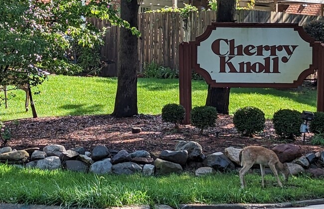 property at 723 Whitcomb St