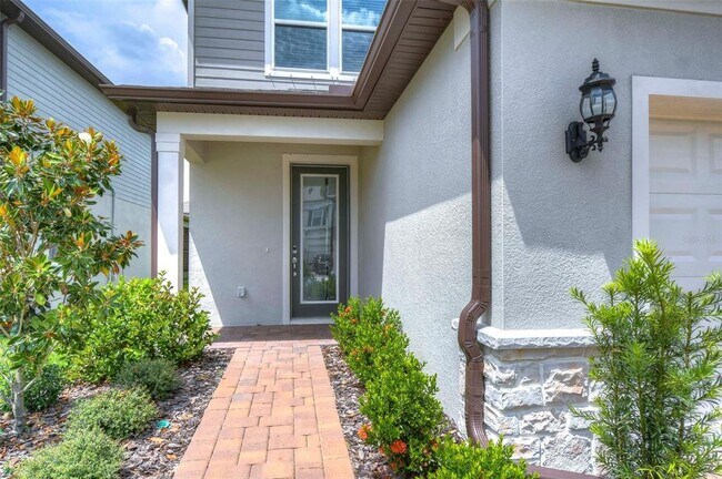 17789 Everlong Dr in Land O Lakes, FL - Building Photo - Building Photo