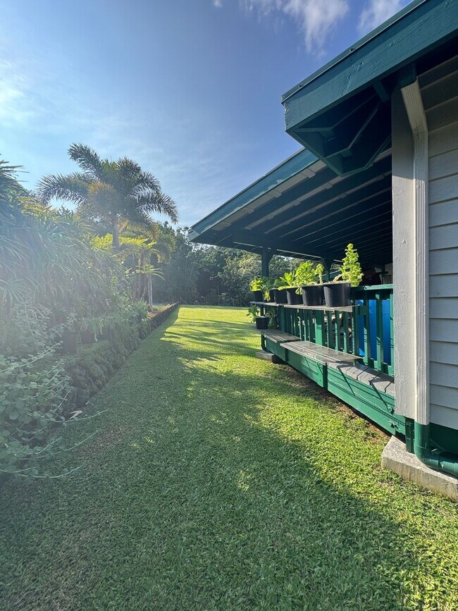 230 Kapualani St in Hilo, HI - Building Photo - Building Photo