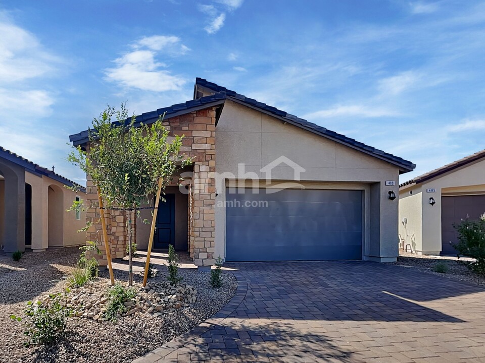 489 Silverbell Fls Pl in Henderson, NV - Building Photo