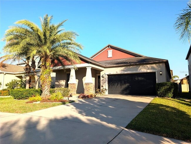 11024 Little Blue Heron Dr in Riverview, FL - Building Photo - Building Photo