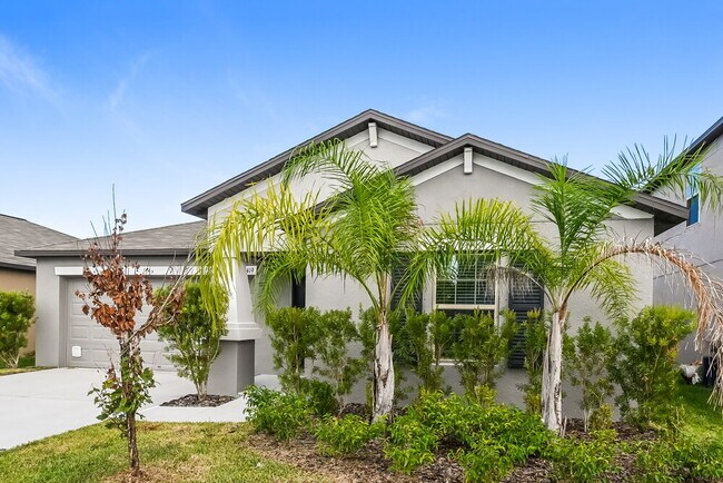 10419 Carloway Hills Dr in Wimauma, FL - Building Photo - Building Photo