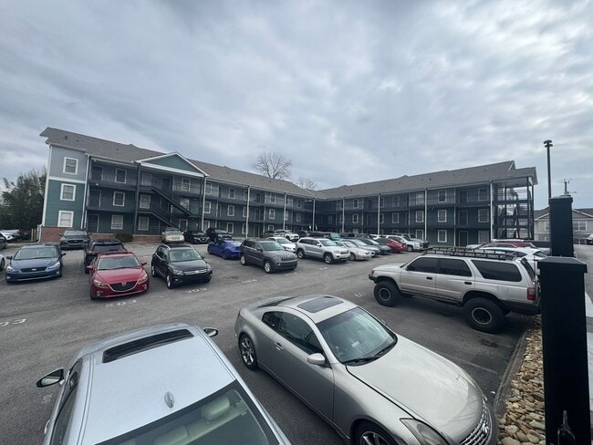 1517 Laurel Ave in Knoxville, TN - Building Photo - Building Photo