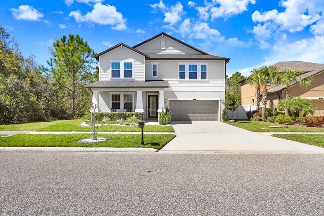 8721 Savory Walk Dr in Land O Lakes, FL - Building Photo - Building Photo