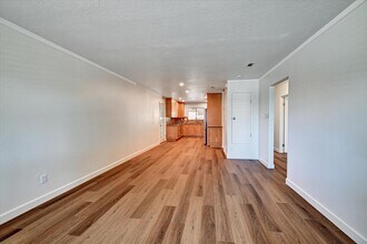 1738 Hanford Dr in San Diego, CA - Building Photo - Building Photo