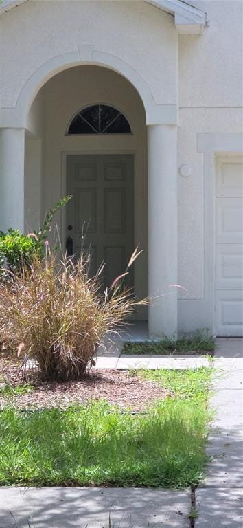 18430 Red Willow Way in Land O Lakes, FL - Building Photo - Building Photo