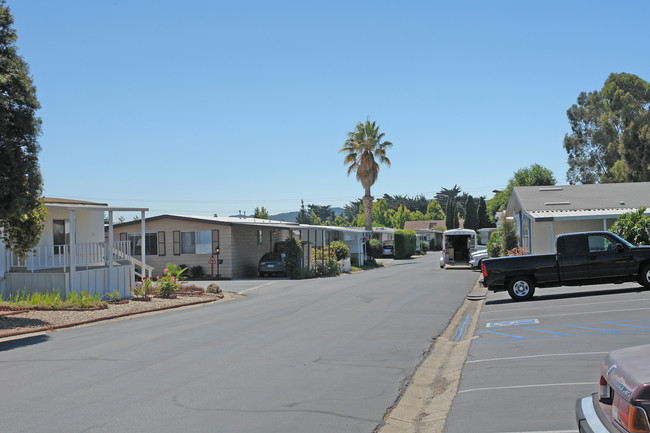 3057 S Higuera St in San Luis Obispo, CA - Building Photo - Building Photo