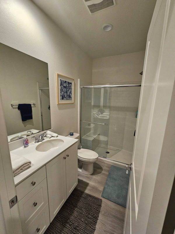 539 Hydrangea St in Hemet, CA - Building Photo - Building Photo