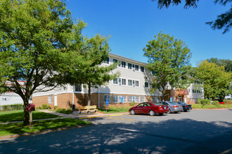 Cathedral Manor in Hartford, CT - Building Photo - Building Photo