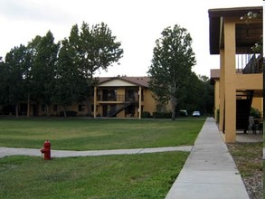 The Village At University Square in Tampa, FL - Foto de edificio - Building Photo