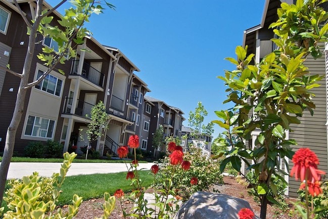 Mill Creek Meadows