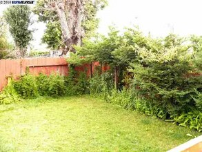 5134 Elmwood Ave in Newark, CA - Foto de edificio - Building Photo