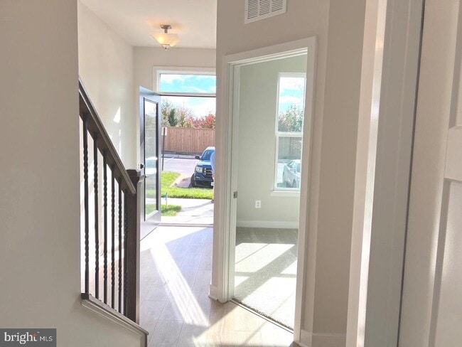 4308 Ellipse Ter in Chantilly, VA - Foto de edificio - Building Photo